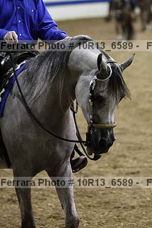 Proof Number 10r13_6589