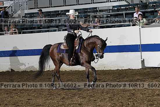 Proof Number 10r13_6602