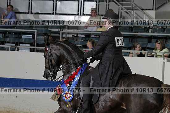 Proof Number 10r13_6676