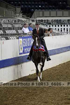 Proof Number 10r13_6686