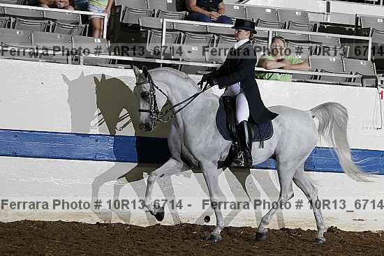 Proof Number 10r13_6714