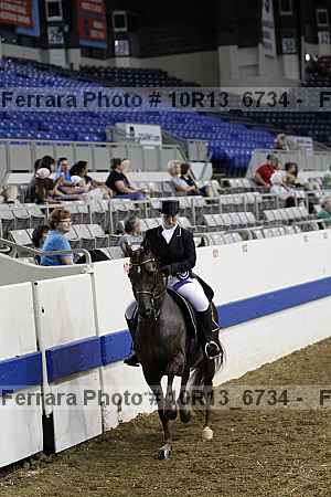 Proof Number 10r13_6734