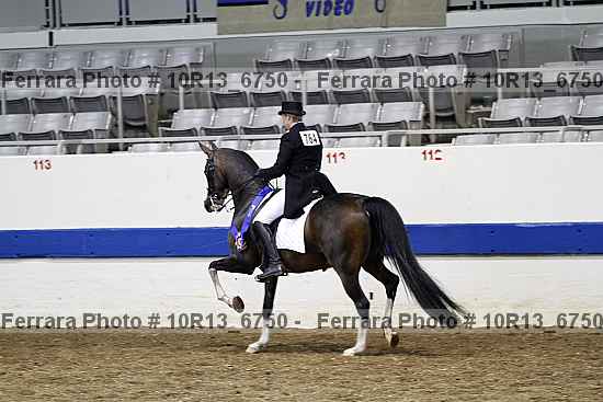 Proof Number 10r13_6750