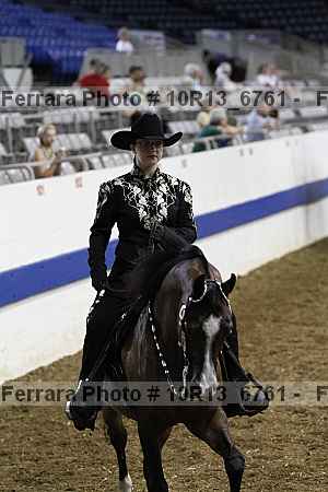 Proof Number 10r13_6761