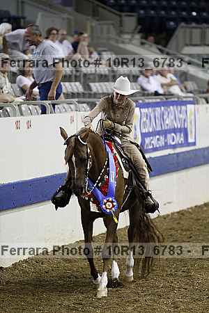 Proof Number 10r13_6783