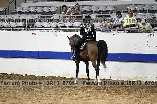 Proof Number 10r13_6785