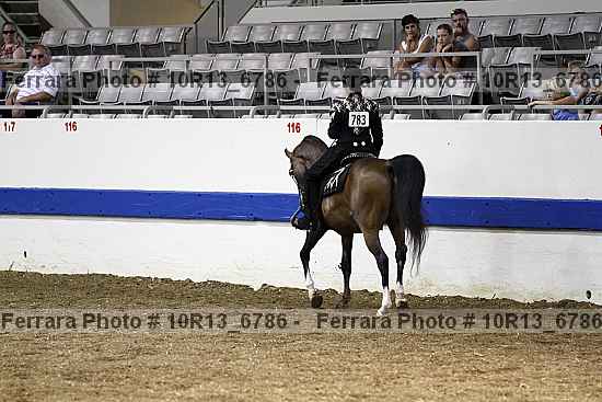 Proof Number 10r13_6786