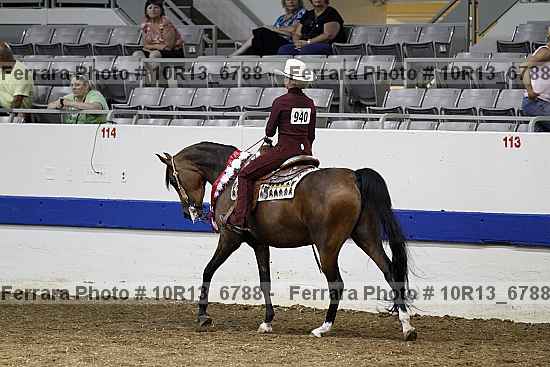 Proof Number 10r13_6788