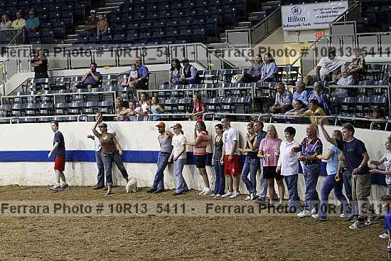 Proof Number 10r13_5411