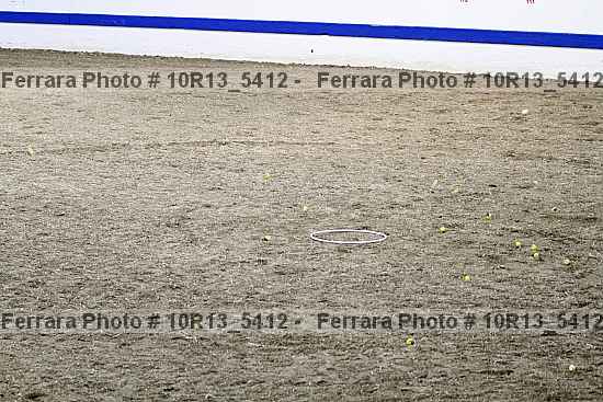 Proof Number 10r13_5412