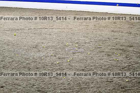 Proof Number 10r13_5414