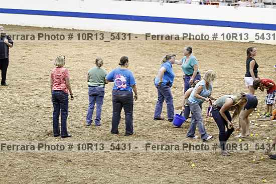 Proof Number 10r13_5431