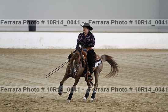 Proof Number 10r14_0041