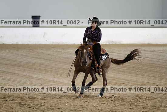 Proof Number 10r14_0042