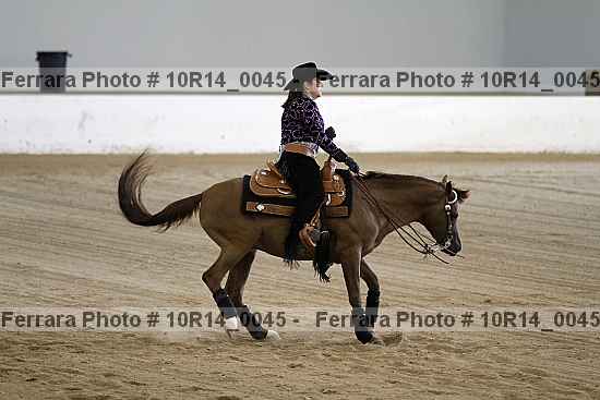 Proof Number 10r14_0045