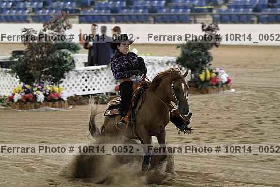 Proof Number 10r14_0052