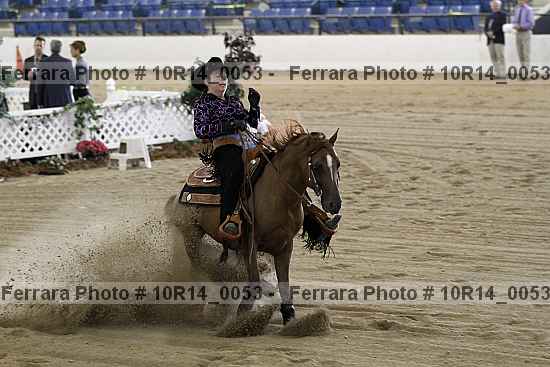 Proof Number 10r14_0053
