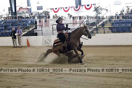 Proof Number 10r14_0056