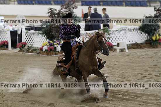 Proof Number 10r14_0058