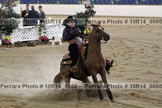 Proof Number 10r14_0060