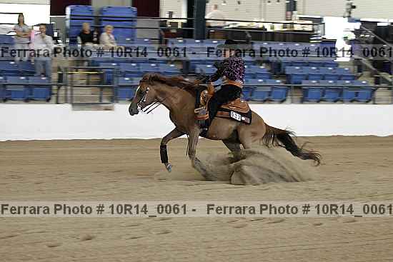 Proof Number 10r14_0061