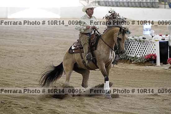 Proof Number 10r14_0096