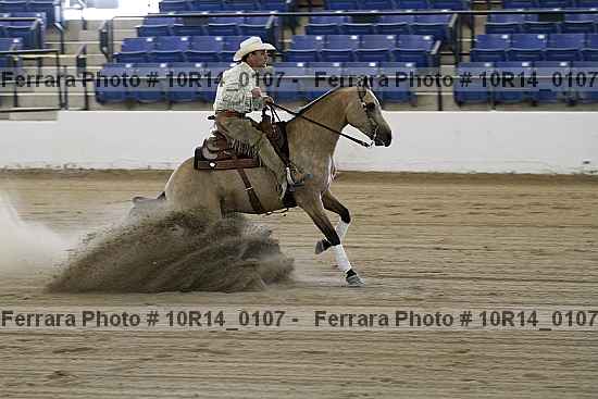 Proof Number 10r14_0107