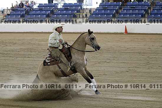Proof Number 10r14_0111