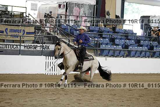 Proof Number 10r14_0115