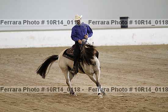 Proof Number 10r14_0118