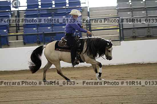 Proof Number 10r14_0133