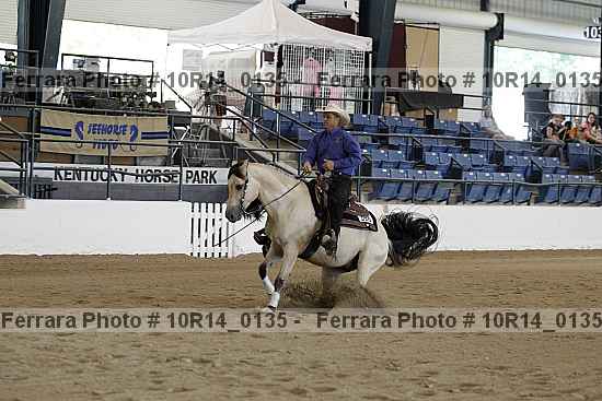Proof Number 10r14_0135