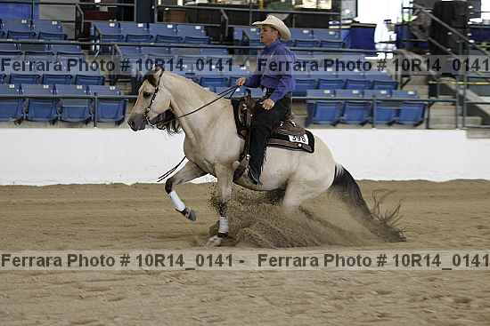 Proof Number 10r14_0141