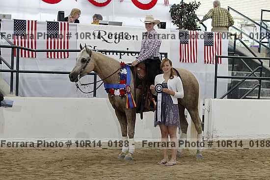 Proof Number 10r14_0188