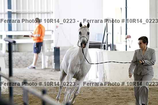Proof Number 10r14_0223