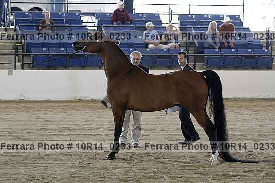 Proof Number 10r14_0233