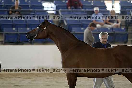 Proof Number 10r14_0234