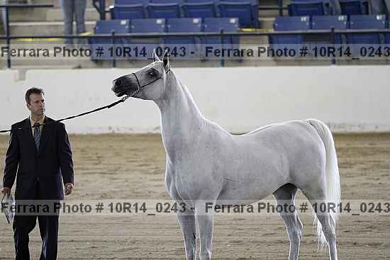 Proof Number 10r14_0243