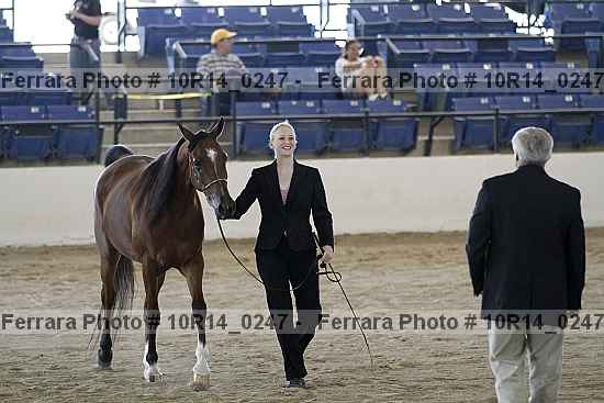 Proof Number 10r14_0247