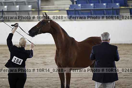 Proof Number 10r14_0248
