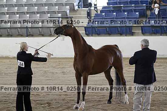 Proof Number 10r14_0250