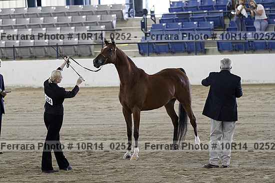 Proof Number 10r14_0252