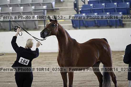 Proof Number 10r14_0253
