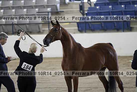 Proof Number 10r14_0254