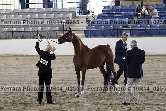 Proof Number 10r14_0255