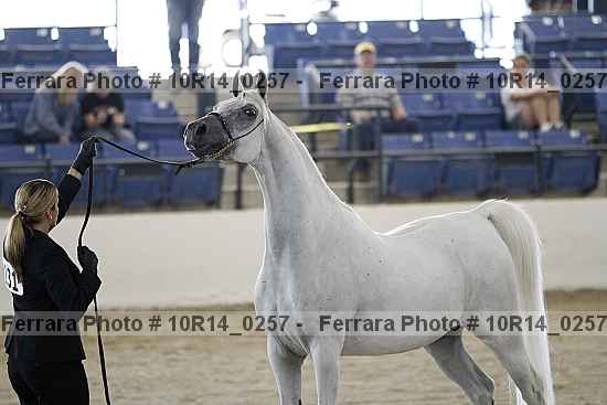 Proof Number 10r14_0257