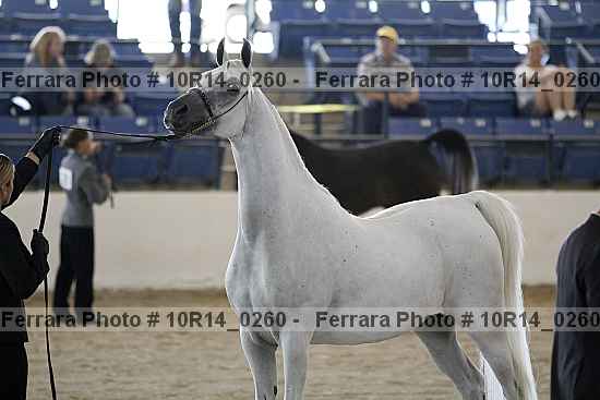 Proof Number 10r14_0260