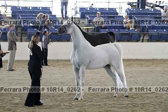 Proof Number 10r14_0262