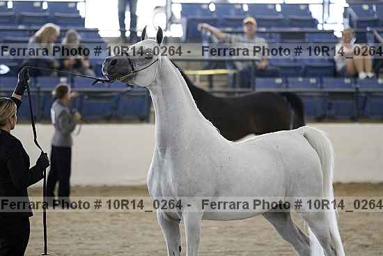 Proof Number 10r14_0264