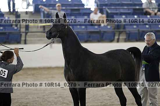 Proof Number 10r14_0270